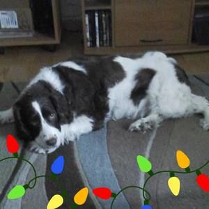 Meet your Posher, Bev